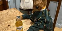 Ready for the game... 'Go Bokke'. Photographer: Joy Leefe<br>
