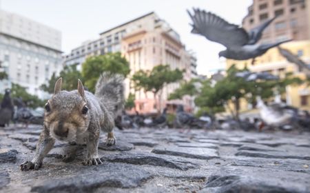In pictures – Big and small animals get out and play