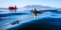 Freezing water, a merciless sun, jellyfish and sharks — the enduring Robben Island swim challenge