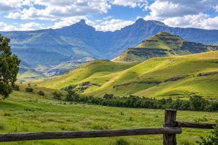 Grass is far more than the lawn you lounge on