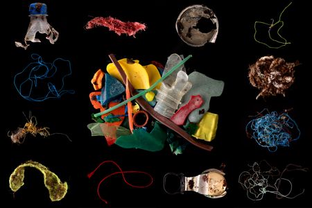 Defenders of the deep: protecting our oceans