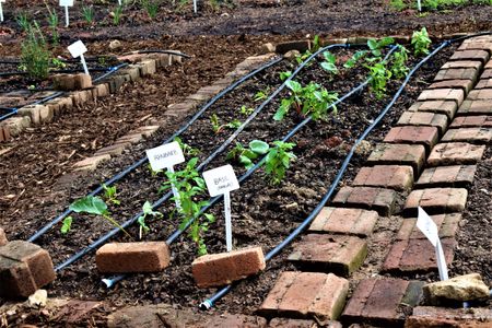 Food hub launched at Wits as hunger grows