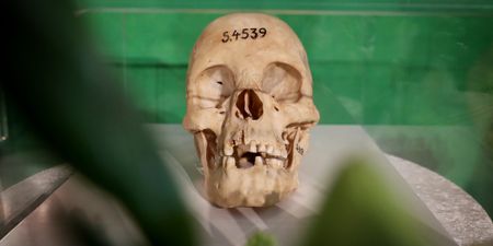 Germany-Namibia landmark accord: Negotiating the price tag of redemption for colonial genocide