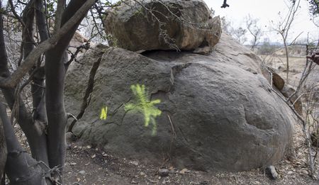 The murder fields of Marikana. The cold murder fields of Marikana.