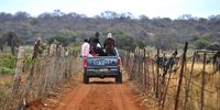 Farmers do their rounds to check for damage on their farms. (Photo: Lucas Ledwaba / Mukurukuru Media)