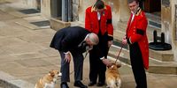 Prince Andrew, Duke of York pets the royal corgis as they await the the coffin of Queen Elizabeth II as it travels on its way to Windsor Castle for the Committal Service at St George's Chapel on September 19, 2022 in Windsor, England. The committal service at St George's Chapel, Windsor Castle, took place following the state funeral at Westminster Abbey. A private burial in The King George VI Memorial Chapel followed. Queen Elizabeth II died at Balmoral Castle in Scotland on September 8, 2022, and is succeeded by her eldest son, King Charles III. (Photo: Peter Nicholls-WPA Pool / Getty Images)
