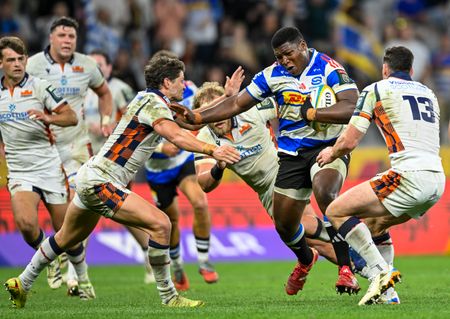 URC focus shifts to Lions and Sharks, SA’s perennial underachievers