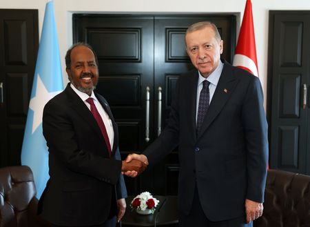 Turkey and Africa — Deciphering Erdoğan’s intentions, beyond trade, investment and mediation