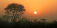 Kruger Park sunrise through veld fire smoke. Photographer: Douglas Couperthwaite