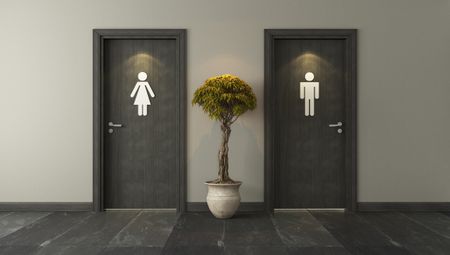 Toilet design is still stuck in Elizabethan times — we can flush with success using just one or two litres