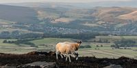 Photo Essay-InPictures26