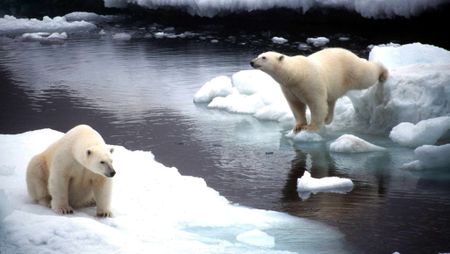 The lack of political will: The biggest hurdle to averting climate disaster