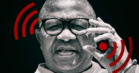 The walls have ears: The backpackers, the Police Minister, his adviser and the R45m Nasrec grabber swindle