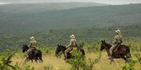 Plea to support Africa’s game rangers as conflict spreads to more parks