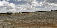 A photo of the “illegal diamond fields” in Kimberley. There are a myriad of artisanal miners desperately seeking to etch out a living in Kimberley by braving the tailings in the area. From across the country and the borders of South Africa desperate men and women are trying their luck to find shiny stones that may change their lives for a better future.