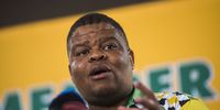 Former state security minister David Mahlobo. (Photo: Gallo Images / Alet Pretorius)
