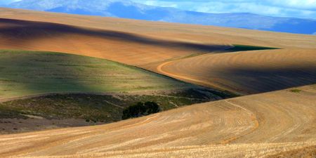 The politics of land expropriation without compensation in the ANC constitutional review proposals