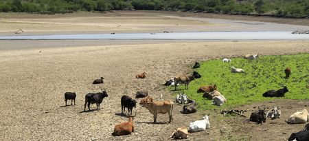 Death threats, protests and rubber bullets as Butterworth residents struggle for water