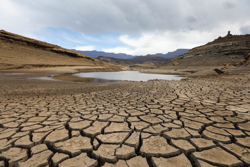 It's here! Japanese Meteorological Agency says El Niño has emerged