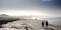 Autumn Silhouettes, Hout Bay. Image: David Bass