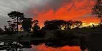 Fire in the sky Photographer: Jenni Bessesen