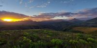 Sunset over our piece of fynbos – Western Cape. Image: Peet Schultz