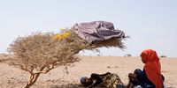 GODORYA, DJIBOUTI - JANUARY 19: Migrants rest under a shrub on January 19, 2024 in Godorya, Djibouti. The recent attacks on commercial ships by Yemen's Houthi rebel group, which have prompted a series of air strikes by the United States and its allies in response, have not just imperilled a vital shipping route, but also the popular "Eastern Route" for migrants heading from Ethiopia to Saudi Arabia, via Djibouti and the Bab al-Mandab Strait that connects the Gulf of Aden and Red Sea. The strait is also a heavily trafficked shipping route on the way to the Suez Canal. (Photo by Luke Dray/Getty Images)