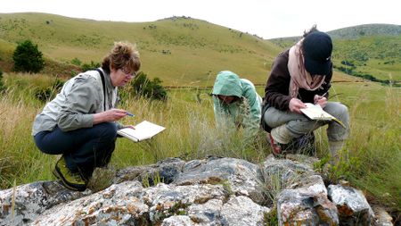 Chemical evidence of life uncovered in SA rocks 3.3bn years old