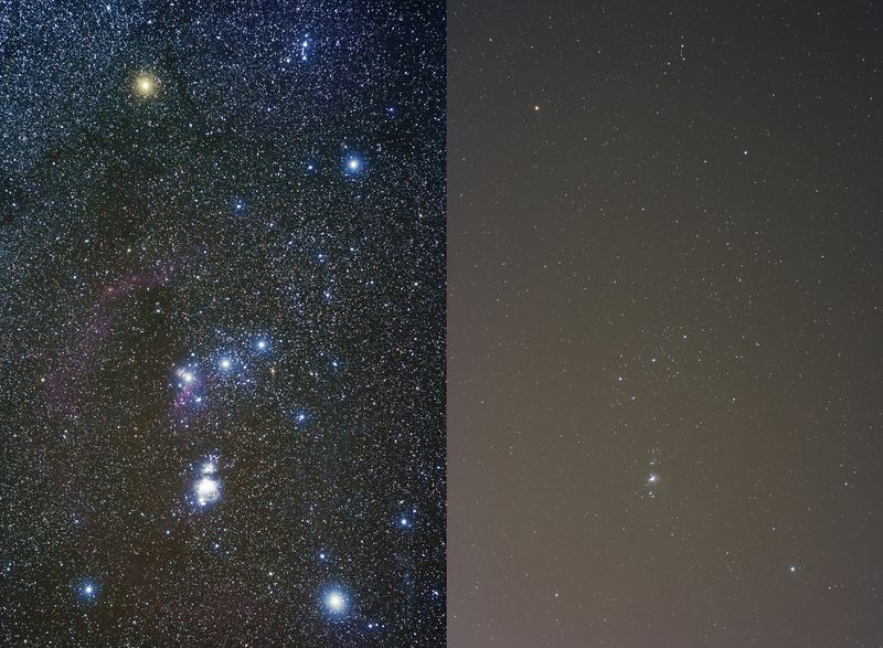 Light pollution has cut humanity’s ancient connection with the stars ...