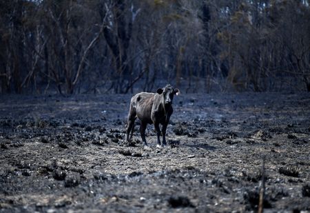 What the climate crisis will do to your food