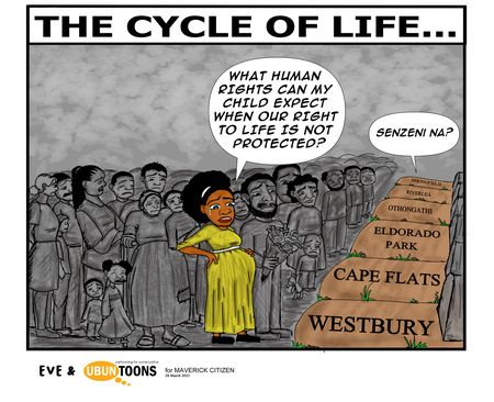 The Cycle of Life...