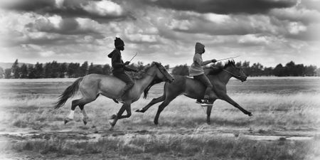 The grim end of the line for ‘reject’ Thoroughbreds