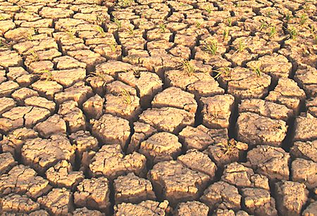 African states on climate effects: Pay up 'cos it ain't us