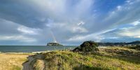 Whangamata, New Zealand. Photographer: Rolf Dieckmann