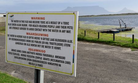 Latest data reveals dangerously high pollution levels in Cape Town’s vleis