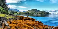 Sitka in the background. Photographer: Dudley Morrissey.
