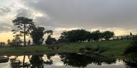 The water is back in Keurboom park. Image: Jenni Bessesen 