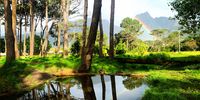 Keurboom Park really is the pot of gold.