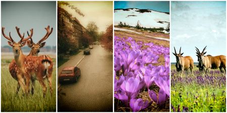 Let me tell you about my home country, my personal paradise, My Ukraine