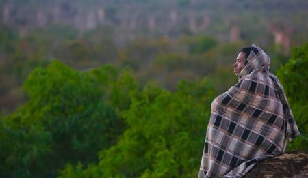 Green Screen: Festival films need to eco beyond audiences