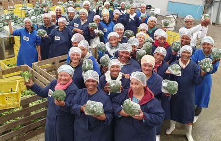 Free to Grow programme sees success through workplace violence-prevention education