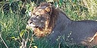 Wildlife Hluhuwe game reserve 14 May 2021. 4 of the Big 5 in less than three hours!