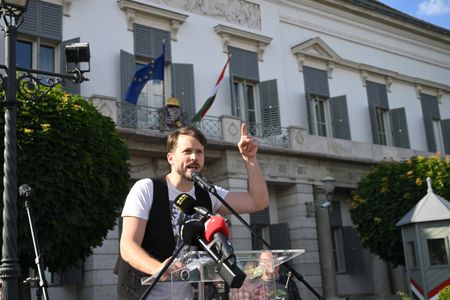 Hungary rights groups criticise legislation to oust president