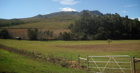 In and out of the House, it’s all about land reform and expropriation without compensation