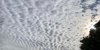 Mackerel sky. Image: Christina Coates