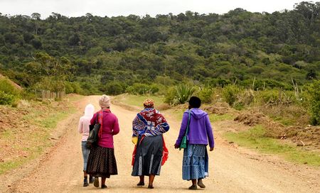 Budget 2024 fails to address poverty-related health issues and inspire NHI trust - SAMRC