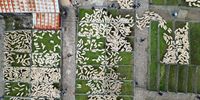 In this aerial view farmers gather at the Lairg auction, for the great sale of lambs on August 15, 2023 in Lairg, Scotland. Renowned as one of the biggest one-day livestock markets in Europe, the annual lamb sale returns to Sutherland's Lairg market, where 15,000 sheep from the northern Highlands come together for auction. (Photo by Jeff J Mitchell/Getty Images)