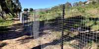 David-Babboon-Fencing