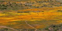 Northern Cape, Spring 2022. Photographer: Alan Samuels