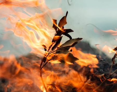 Curious Kids: If steam contains water, what does smoke from fire contain?